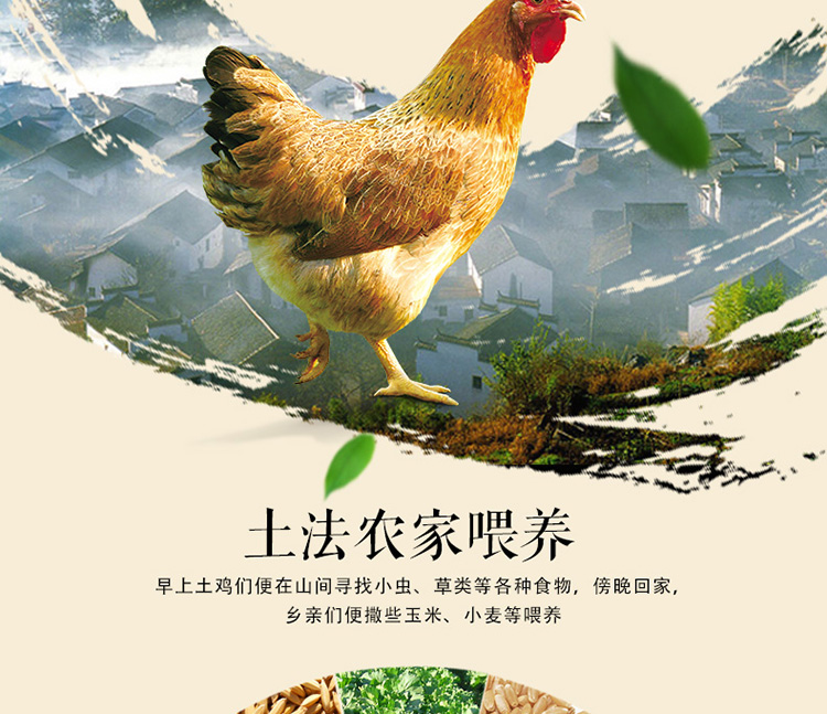 2018-详情页-新版-优化-豉油鸡_06.jpg
