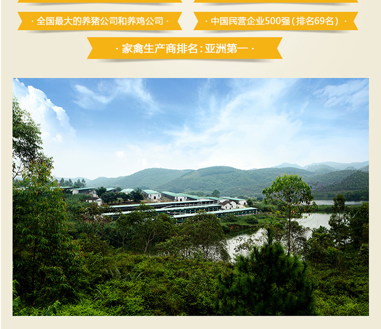 白切凤香皇_18.jpg